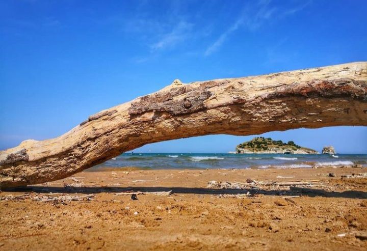 Natura Selvaggia E Panorami Meravigliosi Spiaggia Di Vieste Puglia