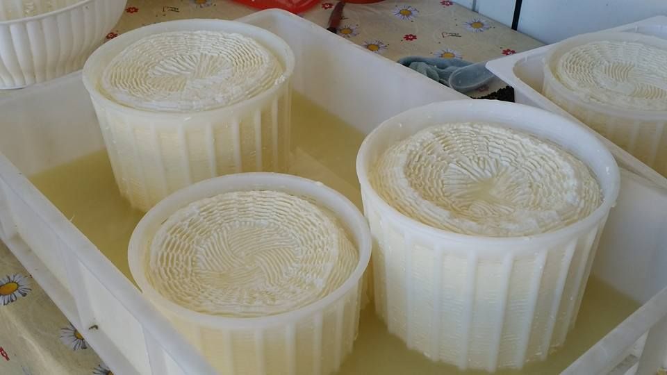 Cacioricotta Formaggio Fresco Locale Tradizioni Locali Masserie Verdi Pascoli Vieste Gargano