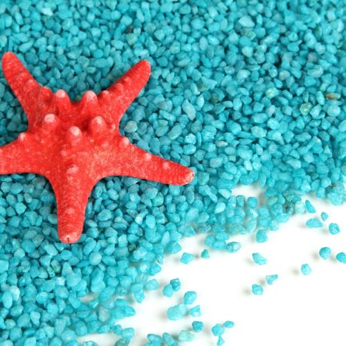 stella marina rossa nel mare di Vieste nel Gargano in Puglia