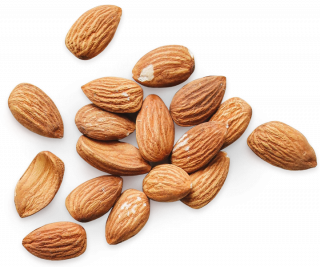 mandorle pugliesi