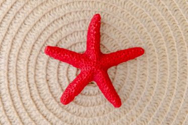 stella marina rossa appartamento Blu Suite del B&B Bed and Breakfast vicino al mare di Vieste Incanto Di Luna